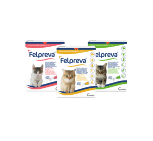 Felpreva