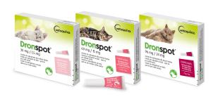 Dronspot