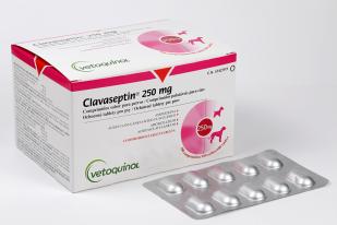 Clavaseptin 250 mg